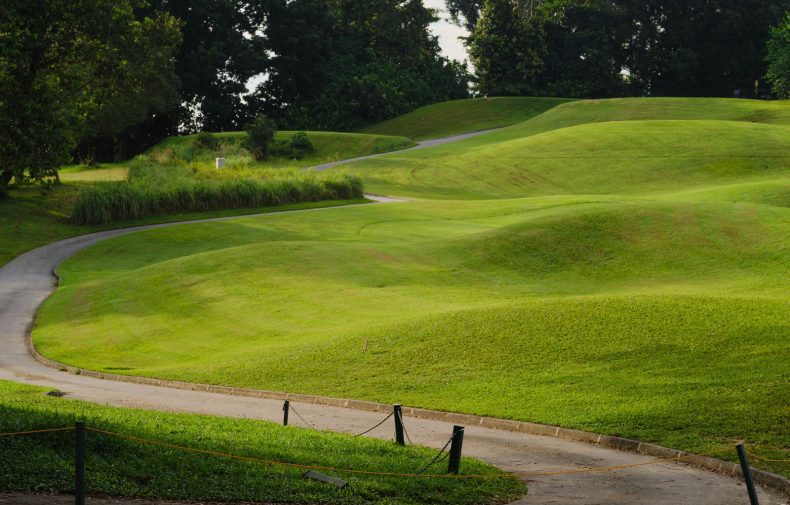 Green golf course with trees and a winding path