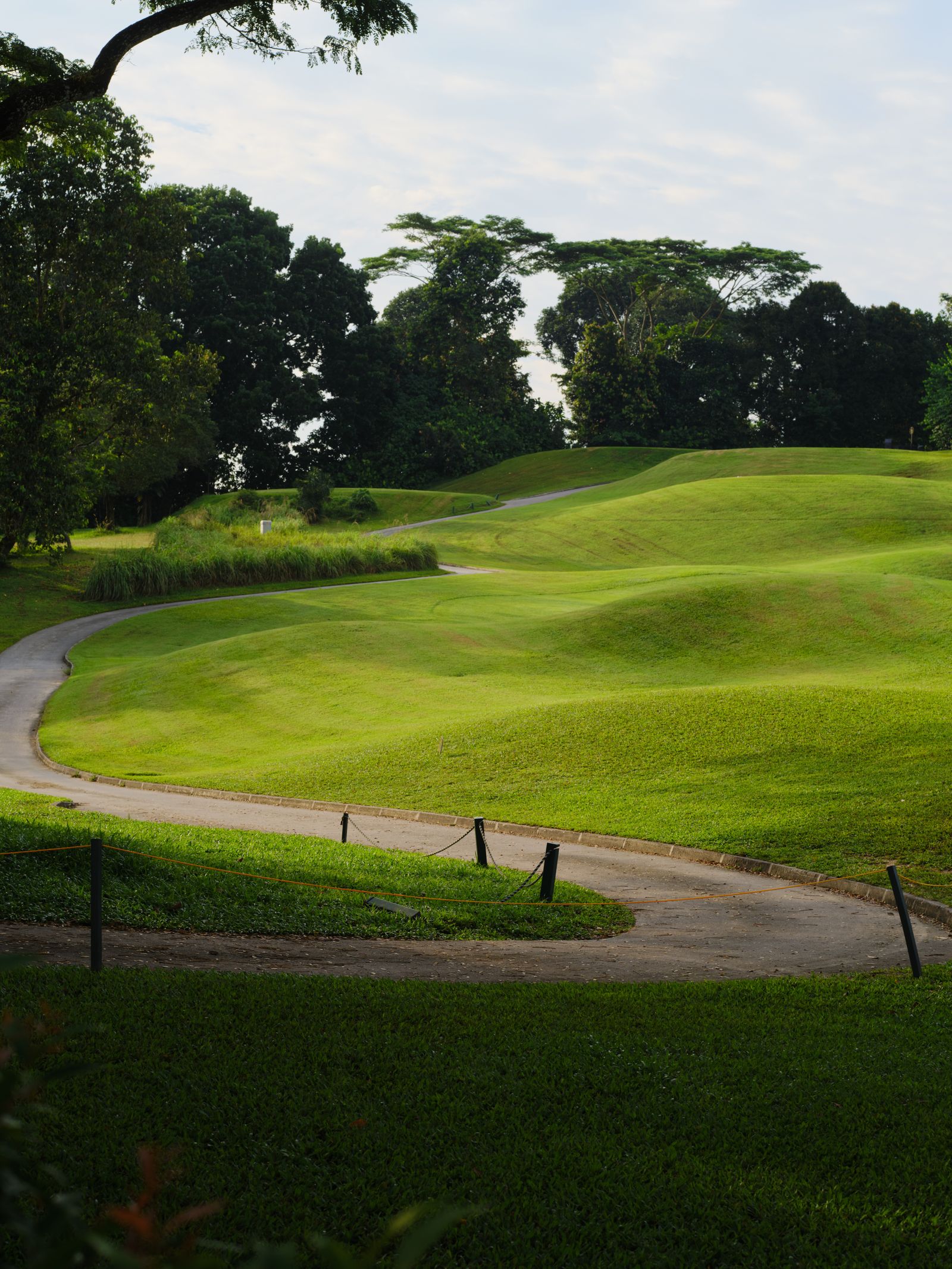 Green golf course with trees and a winding path